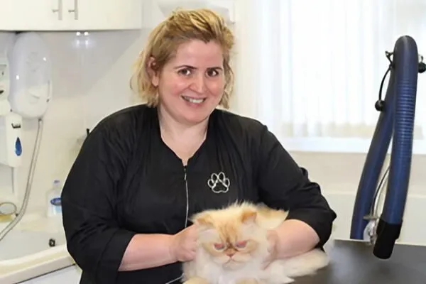 B’sPawz Cat Grooming / Sitting (London)