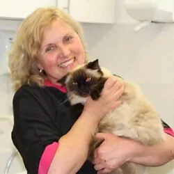 Portway Cattery & Cat Grooming (Oxfordshire) Portway Cattery & Cat Grooming (Oxfordshire)
