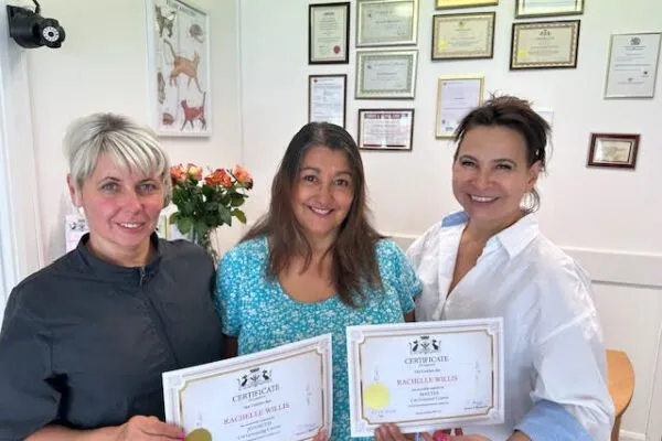 Certificate Rachelle Willis