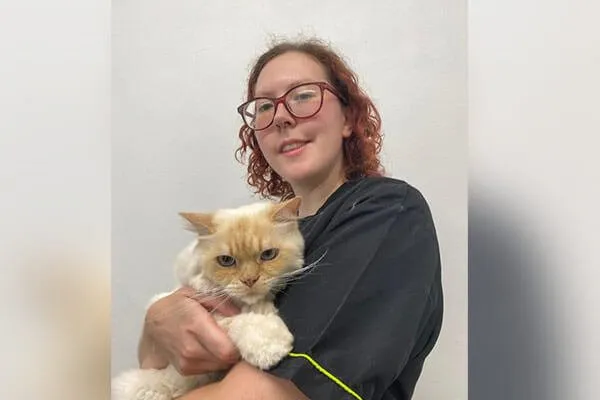 Clean Cats Grooming (Colchester)