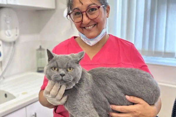 Purrfect Grooming by Chelle (Maidstone Kent)