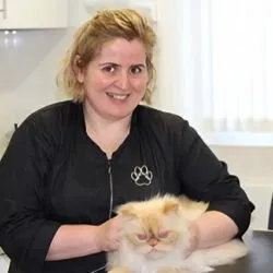 B’sPawz Cat Grooming / Sitting (London) B’sPawz Cat Grooming / Sitting (London)