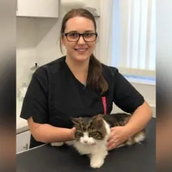 Becky’s Cat Grooming (South East England) Becky’s Cat Grooming (South East England)