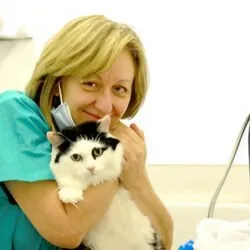 Catskingdom Mobile Cat Grooming (South East England) Catskingdom Mobile Cat Grooming (South East England)