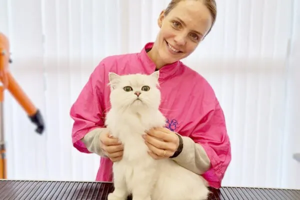 Catastic (South East England)