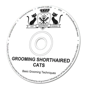 Grooming Shorthaired Cats
