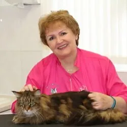PamPurred Cat Grooming (Southern Central England) PamPurred Cat Grooming (Southern Central England)