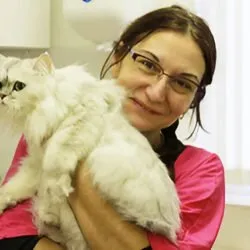 Cat Grooming Studio (West Midlands) Cat Grooming Studio (West Midlands)