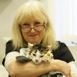Pretty Kitty Cat Grooming (South East England) Pretty Kitty Cat Grooming (South East England)