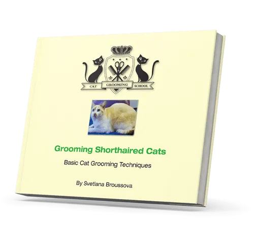 Grooming Shorthaired Cats