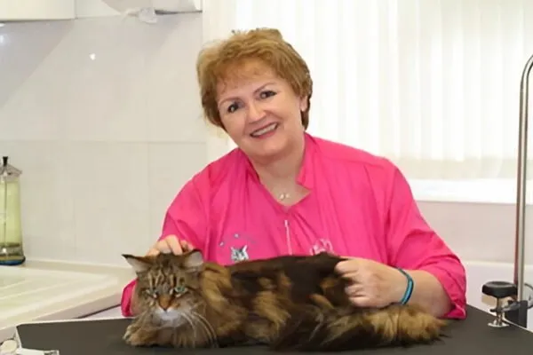 PamPurred Cat Grooming (Southern Central England)