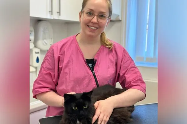 Essex Cat Grooming (Witham)