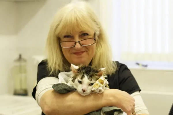 Pretty Kitty Cat Grooming (South East England)