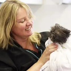 Feline Divine Cat Grooming (South East England) Feline Divine Cat Grooming (South East England)