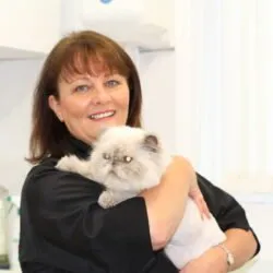 Cavendish Cat Grooming (South East England) Cavendish Cat Grooming (South East England)