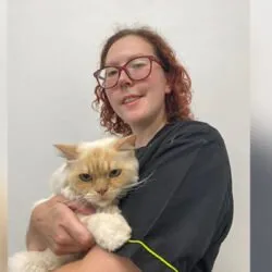 Clean Cats Grooming (Colchester) Clean Cats Grooming (Colchester)