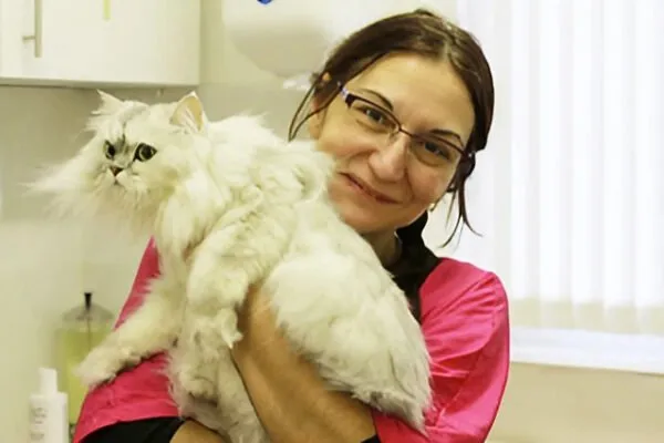 Cat Grooming Studio (West Midlands)
