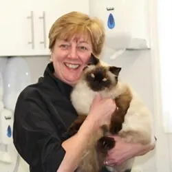 Smart Cats Grooming Salon (Essex) Smart Cats Grooming Salon (Essex)