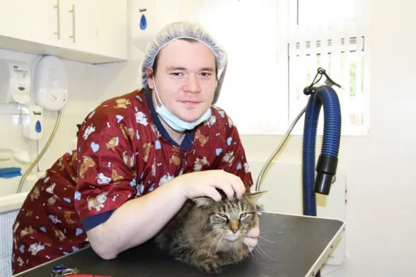 Foundation Cat Grooming Course
