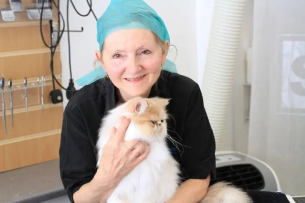 CatZone Grooming (Central Hampshire)