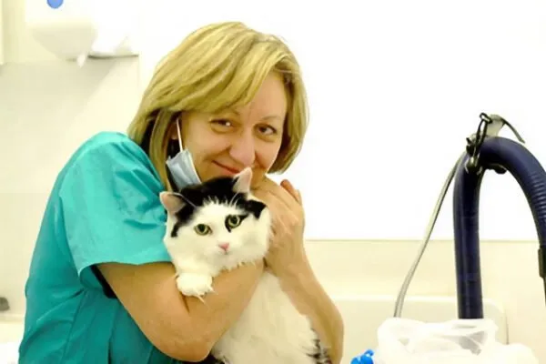 Catskingdom Mobile Cat Grooming (South East England)