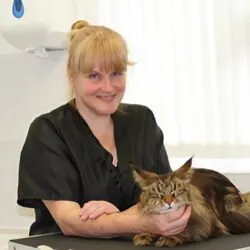 Purely Cat Grooming (Hampshire) Purely Cat Grooming (Hampshire)