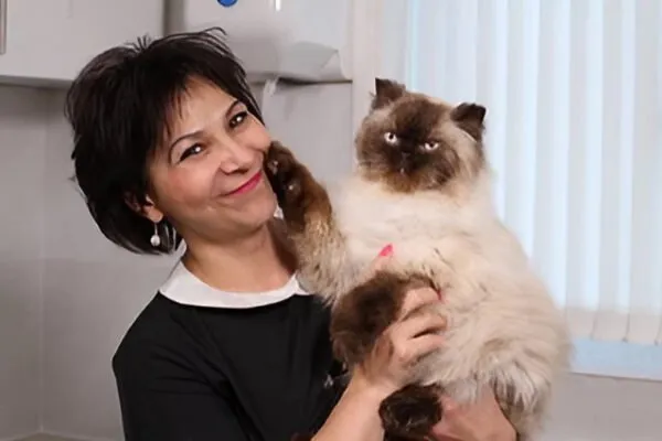 Cat Grooming Specialist (London)