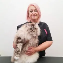 CutieCatz Grooming (North East England) CutieCatz Grooming (North East England)