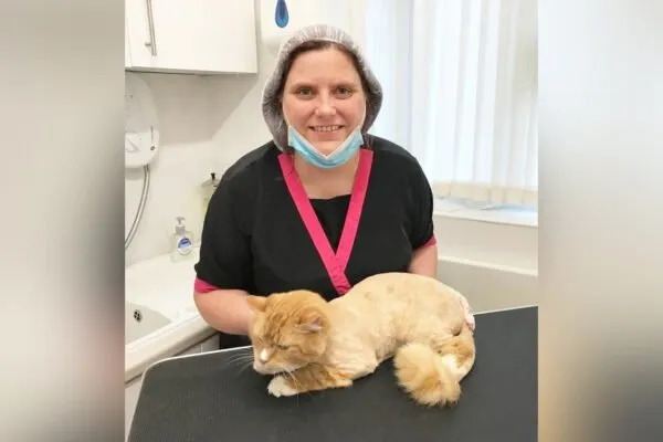 Groomed to Purrfection (North West England)