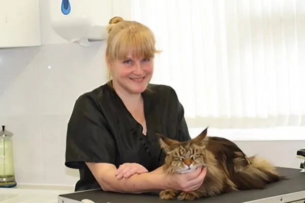Purely Cat Grooming (Hampshire)
