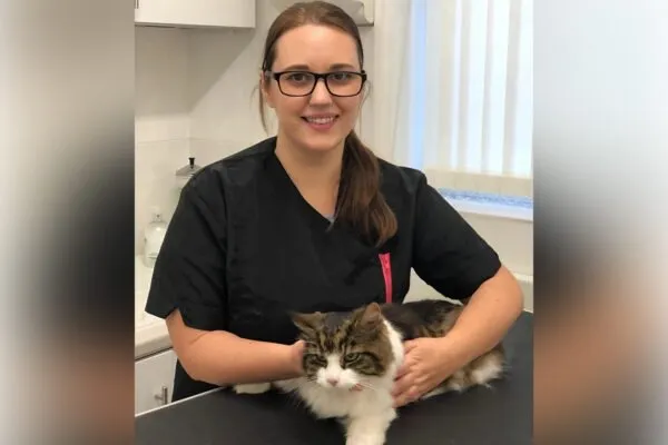 Becky’s Cat Grooming (South East England)