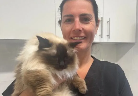 Michelle’s Cat Grooming (North & East London)