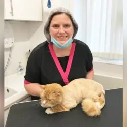 Groomed to Purrfection (North West England) Groomed to Purrfection (North West England)
