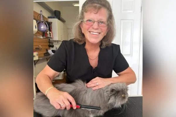 Fabulous Felines (Southampton)