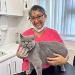 Purrfect Grooming by Chelle (Maidstone Kent) Purrfect Grooming by Chelle (Maidstone Kent)