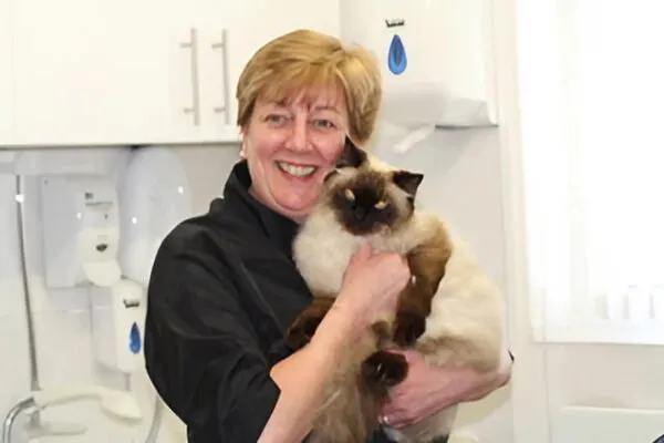 Smart Cats Grooming Salon (Essex)
