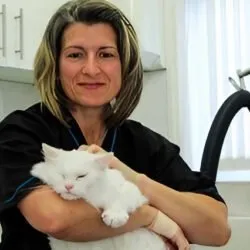 Purrs and Furr Cat Grooming (North East England) Purrs and Furr Cat Grooming (North East England)