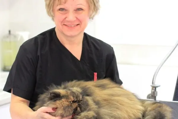 Soos Mobile Cat Grooming (Central Southern England)