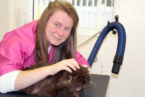 Master Cat Groomer