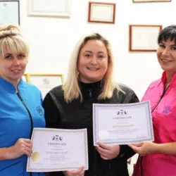 Whiskers Wild Cat Grooming (East Midlands) Whiskers Wild Cat Grooming (East Midlands)