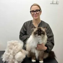 Pads Paws & Claws Pet Grooming (London) Pads Paws & Claws Pet Grooming (London)